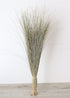 Afloral Natural Green Dune Grass Preserved