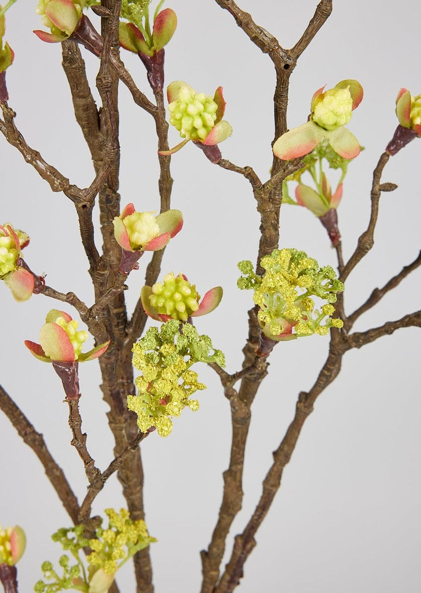 Closeup of Cream Yellow Blossoming Branch