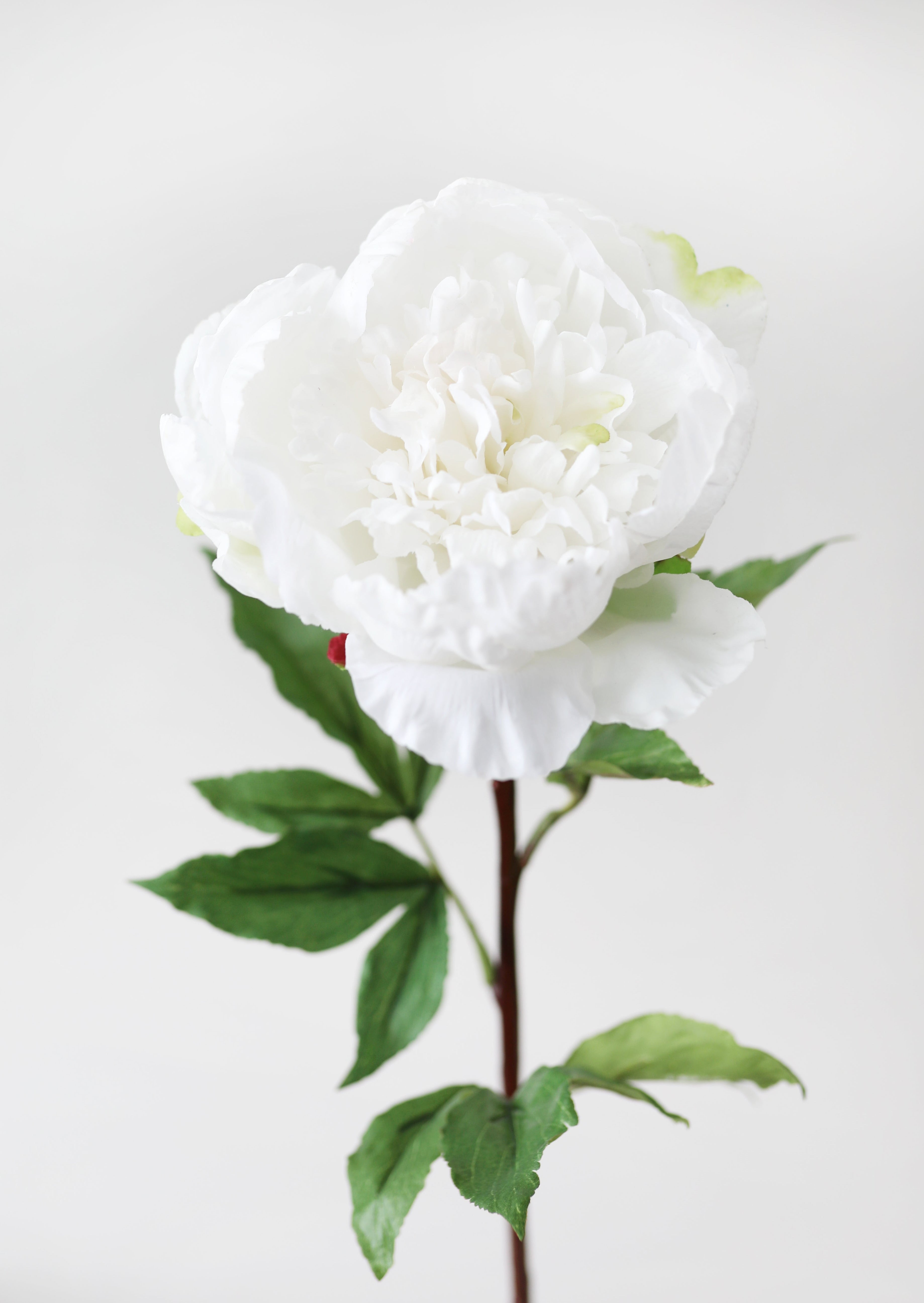 Cream White Faux Real Touch Peony Flower