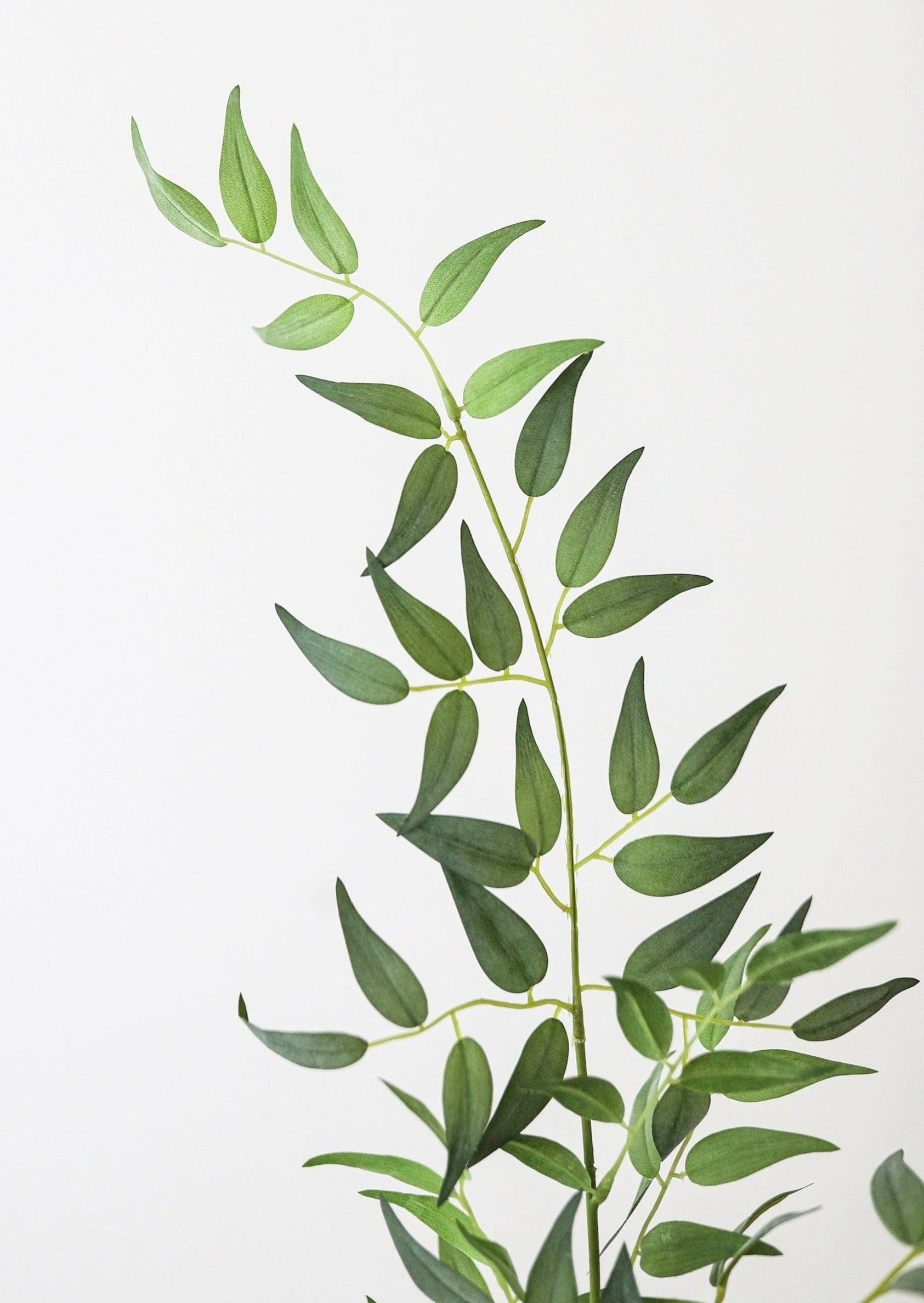 Fake Green Ruscus Leavs at afloral