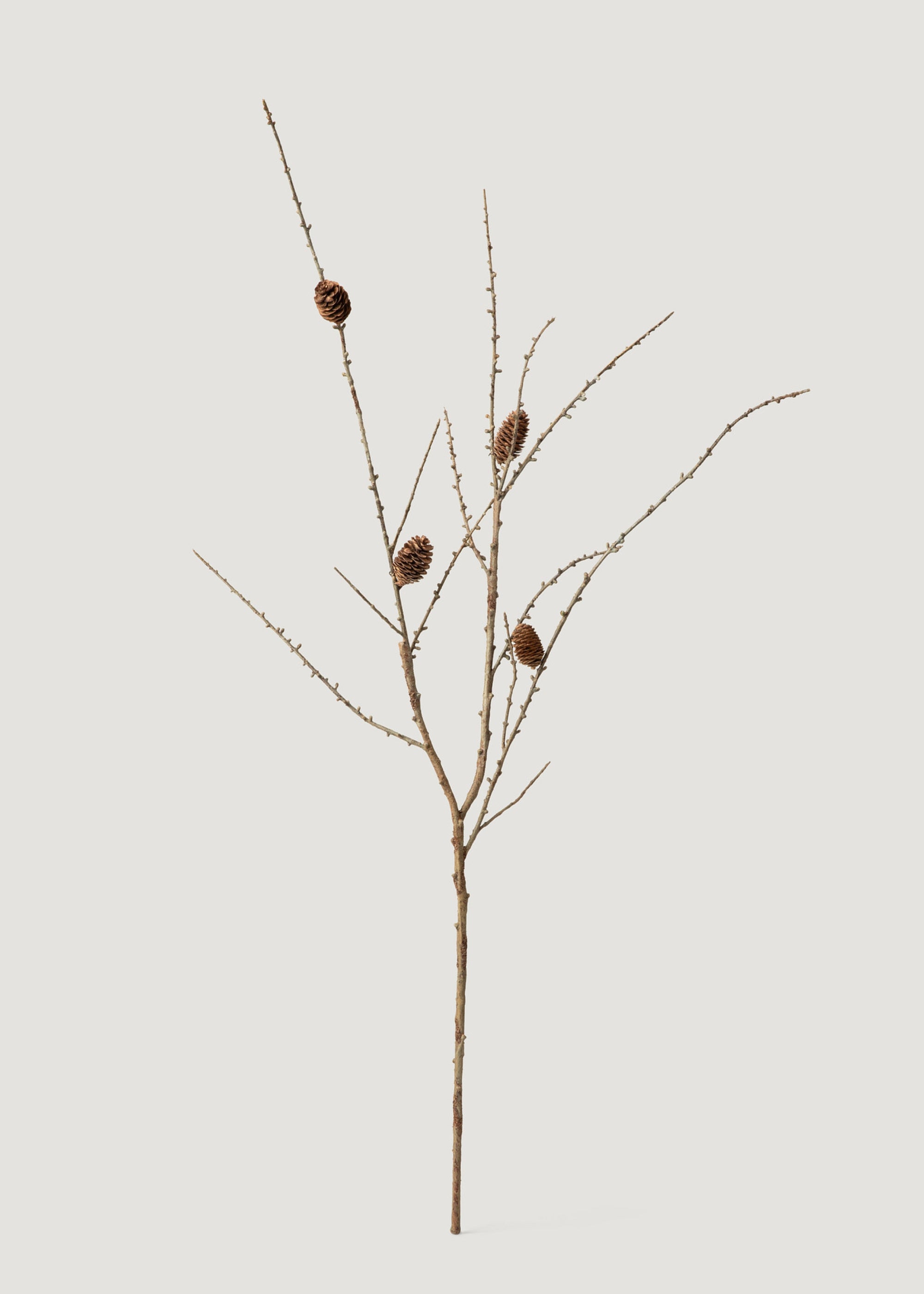 Faux Larch Branch with Pine Cones