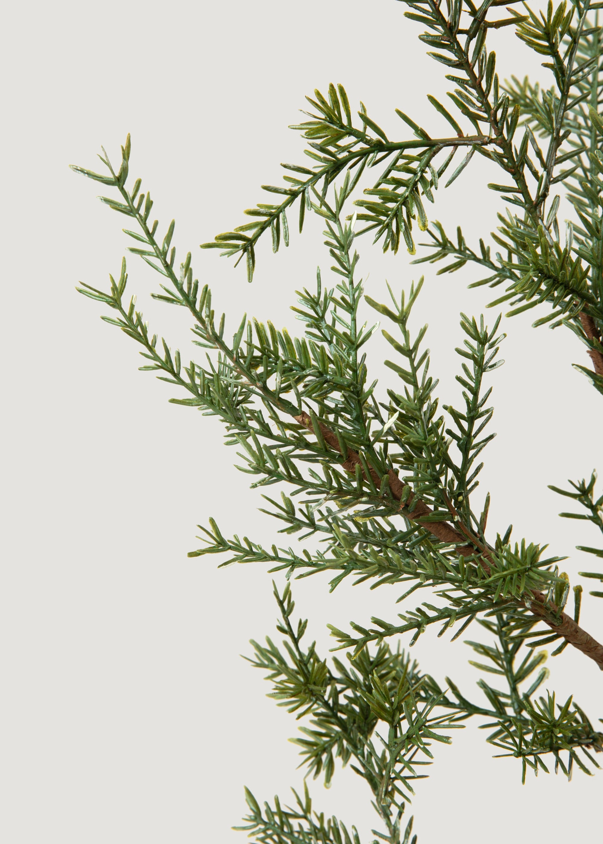 Faux Sapling Pine