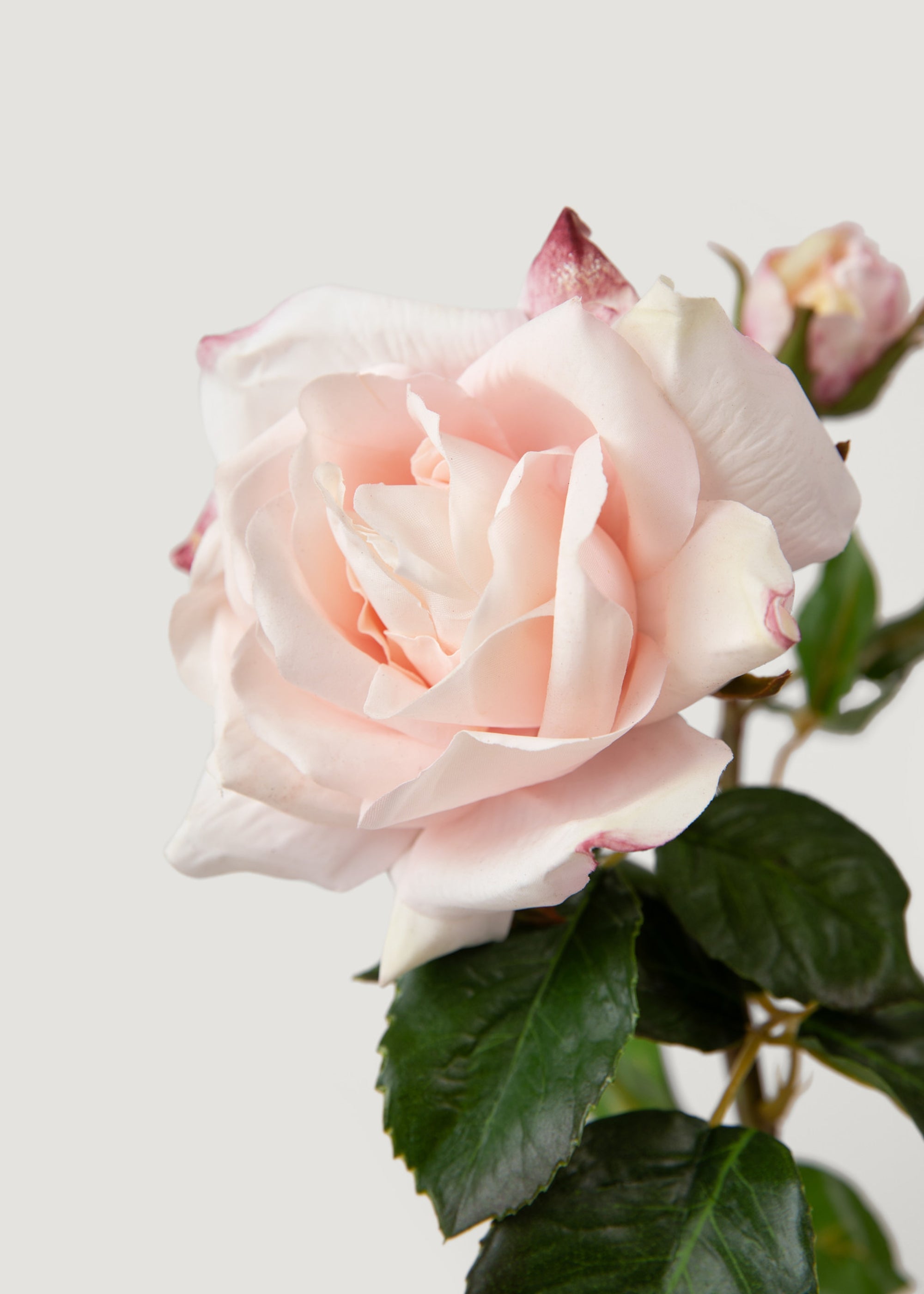 Real Touch Faux Rose in Soft Pink