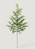 Faux Winter Greens Real Touch Norfolk Pine Branch at Afloral