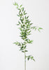 Fake Leaves Tall Italian Ruscus Leaf Branch at Afloral
