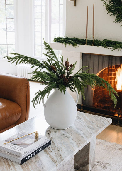 Afloral Norfolk Pine Branch and Pine Cones Styled in Jug Vase