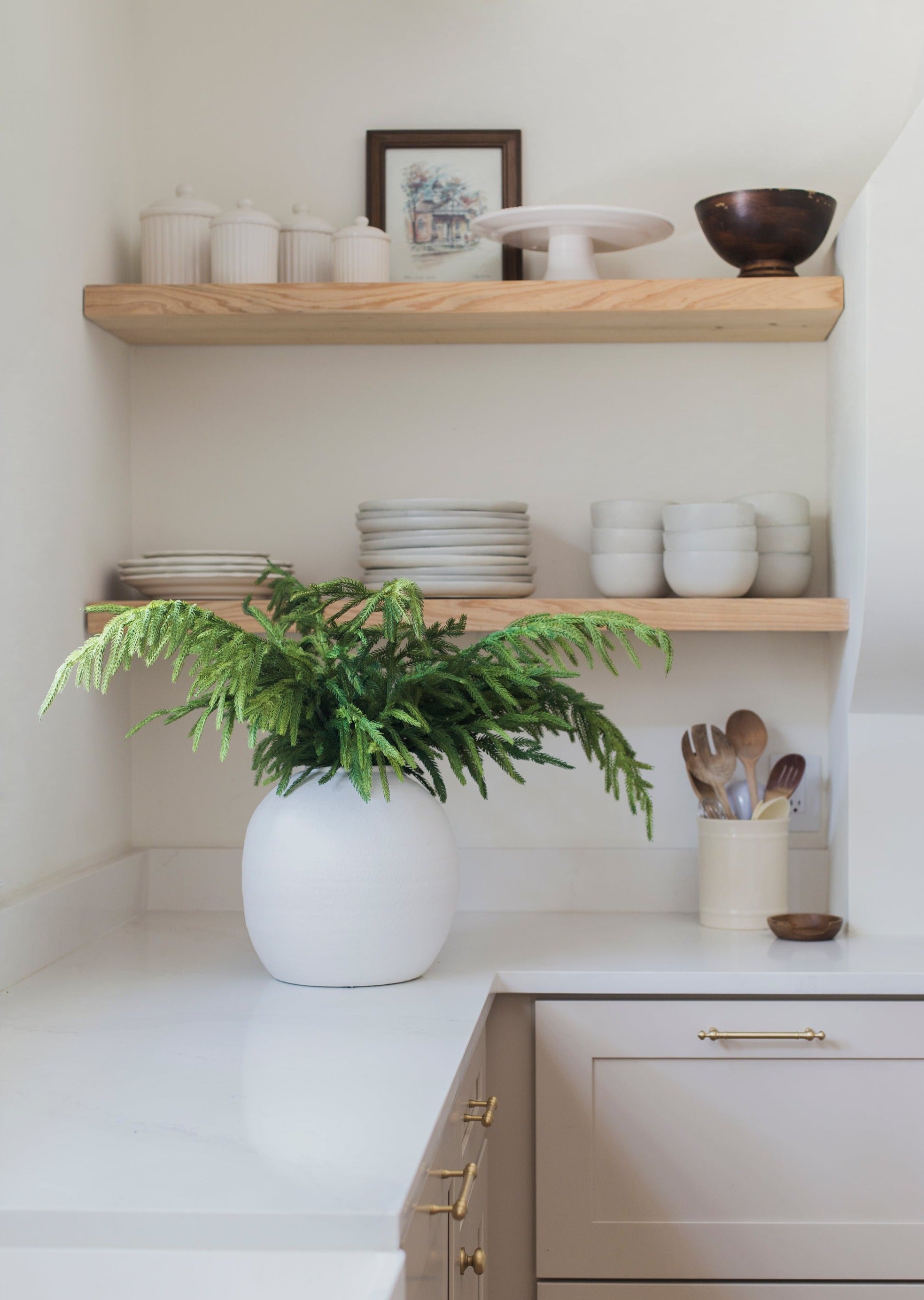 Norfolk Pine Stems Everyday Decor