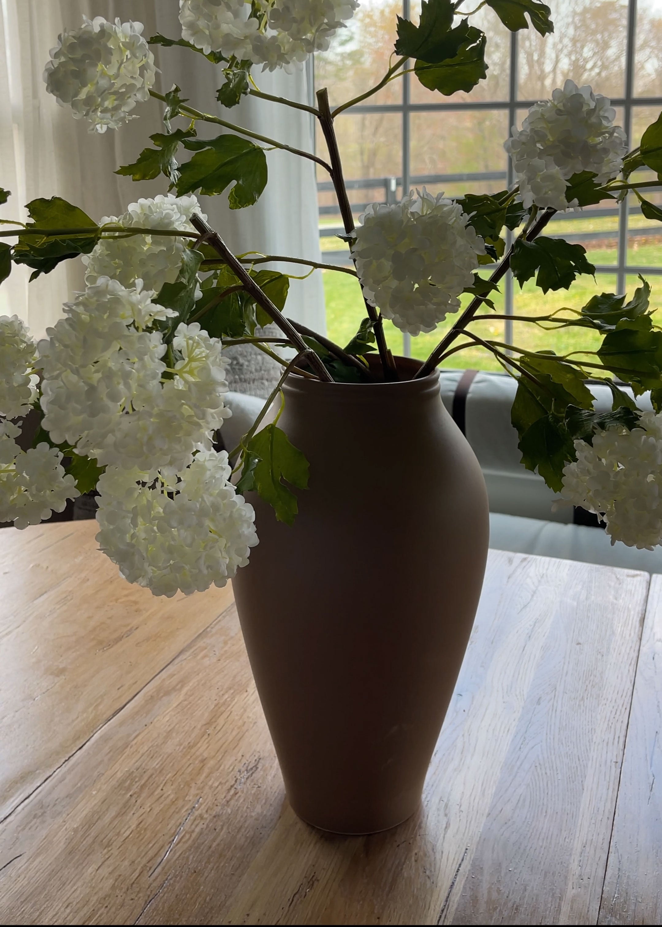 Everlasting Snowball Flowers