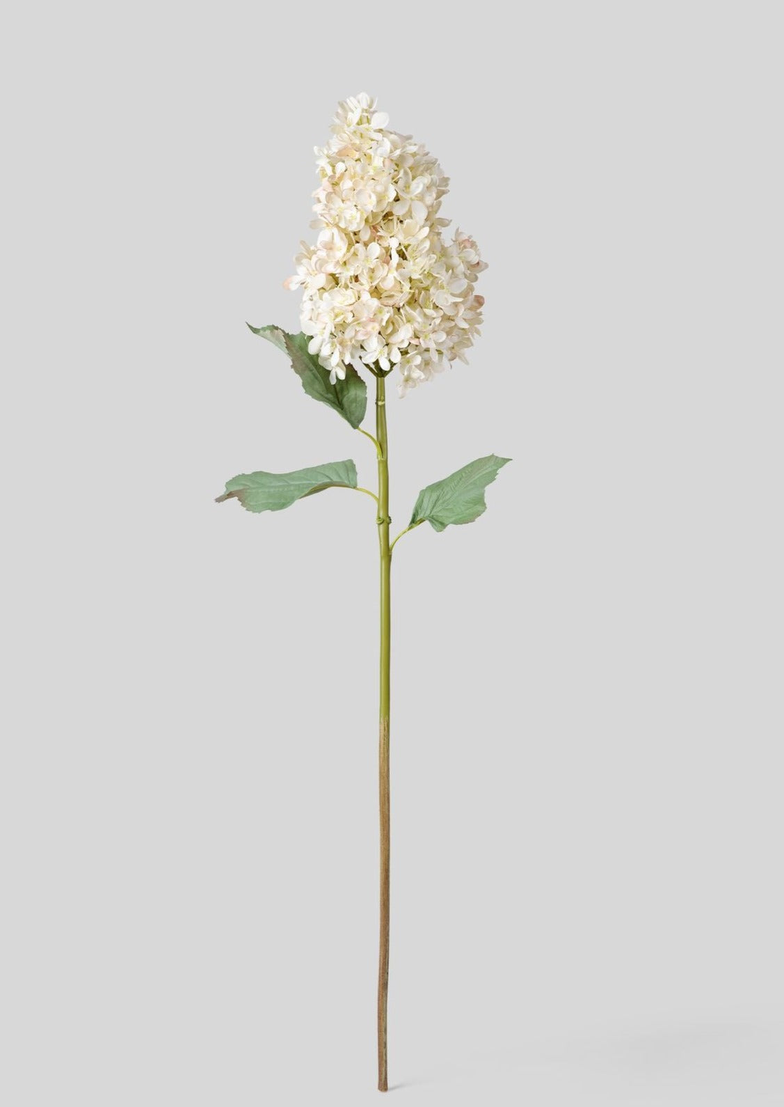 Luxe Faux Flowers Dried Look Cone Hydrangea in Beige with Hint of Blush