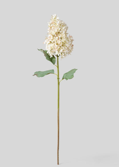 Luxe Faux Flowers Dried Look Cone Hydrangea in Beige with Hint of Blush