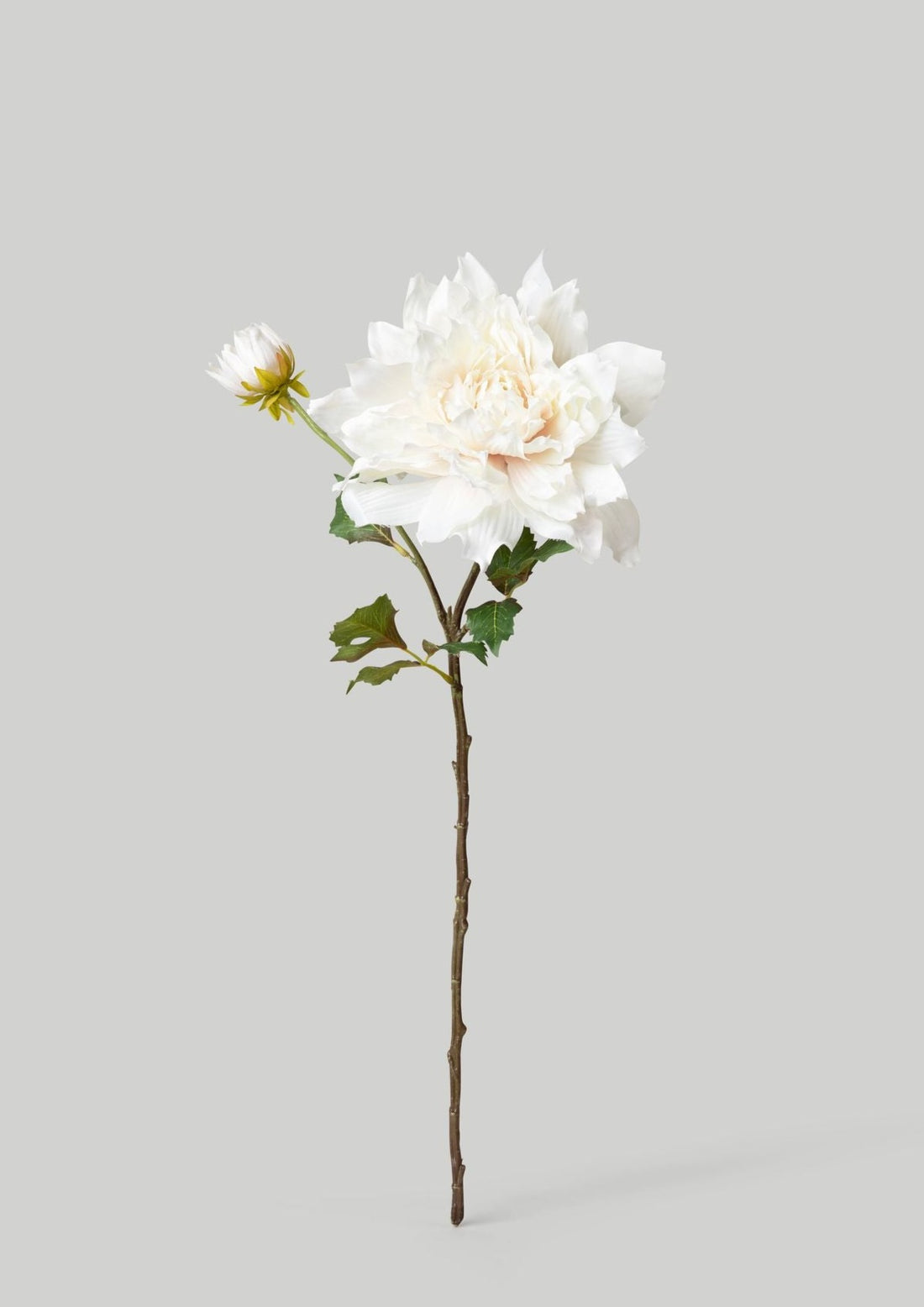 Cream White Artificial Dahlia